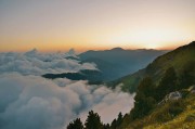 欢迎在宝塔面板安装Z-BlogPHP！